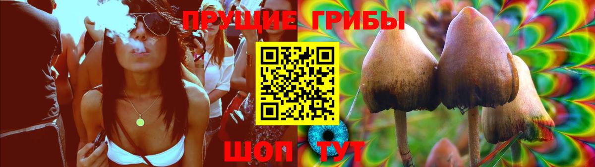 Псилоцибиновые грибы Psilocybe  Псилоцибиновые грибы прущие грибы  Кузнецк  цены   Вход с VPN 